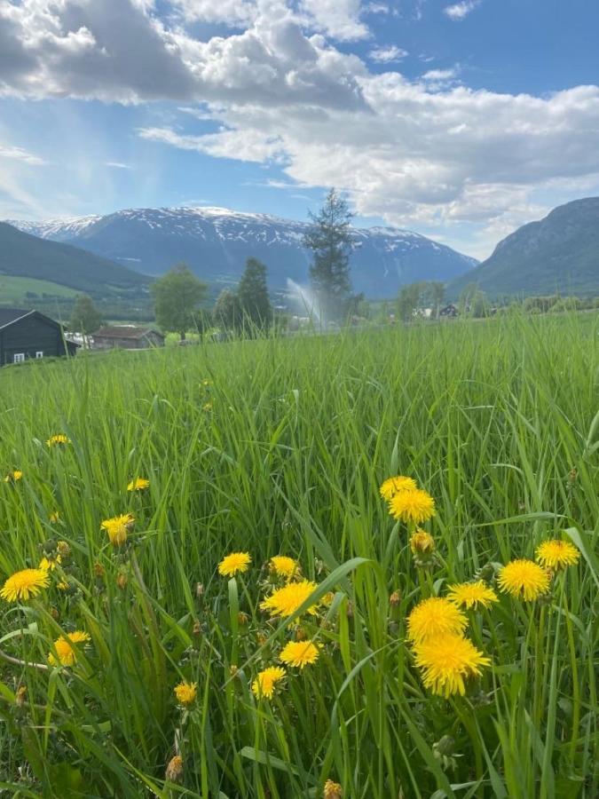 Stort Og Autentisk Hus I Skjak - Kort Vei Til Lom! Екстер'єр фото
